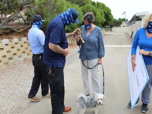 John Stevenson staff with dogs